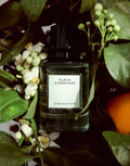Fleur D'oranger