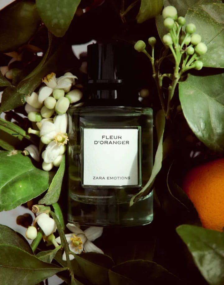 Fleur D'oranger